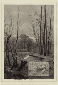 Les mois, novembre - Charles Auguste Loye